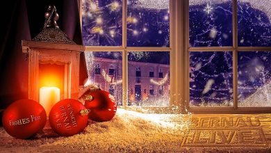 Bernau LIVE - Dein Stadtmagazin für Bernau bei Berlin