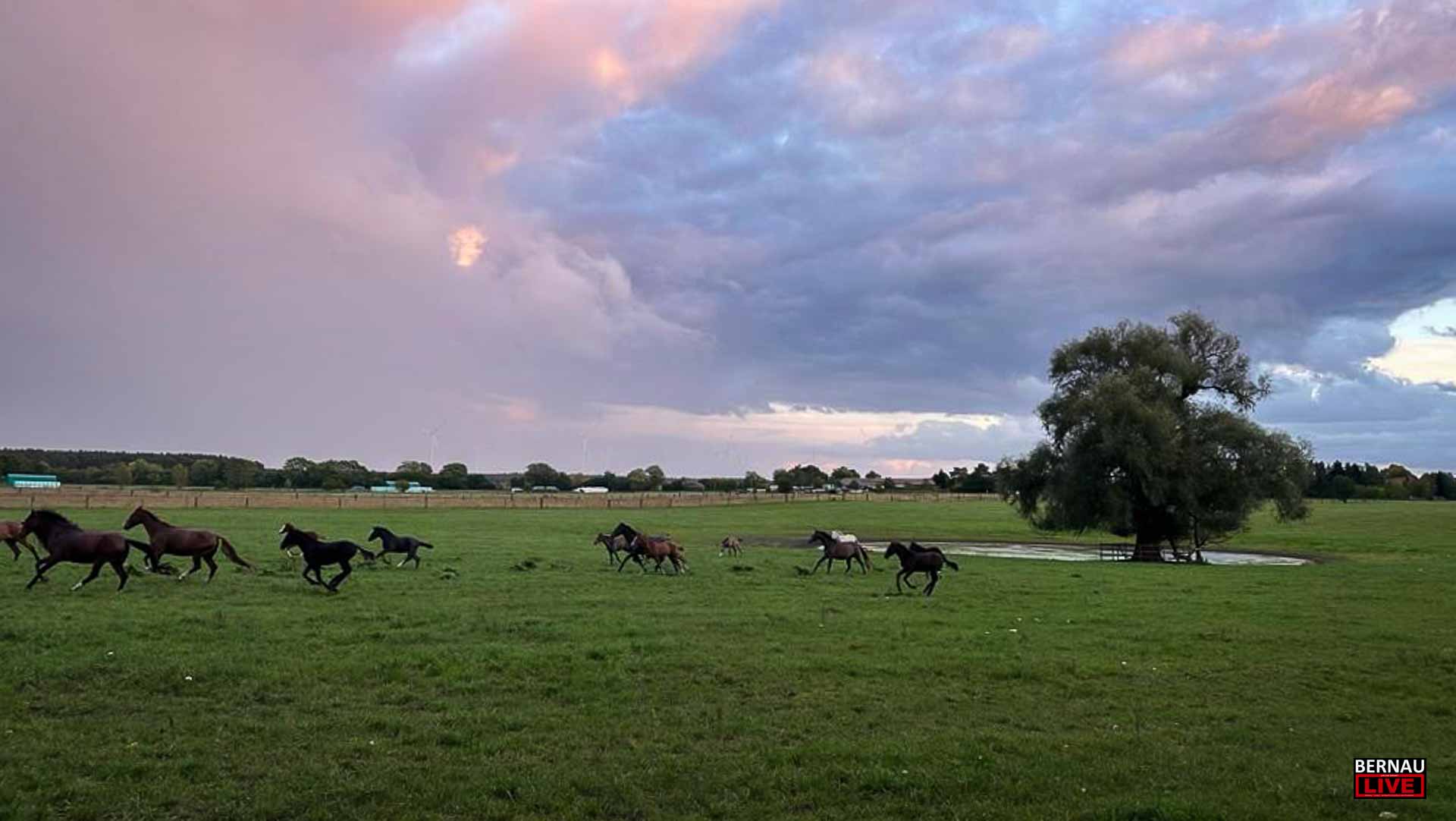 Guten Morgen aus Bernau und einen guten Donnerstag 1 Guten Morgen aus Bernau und einen guten Donnerstag