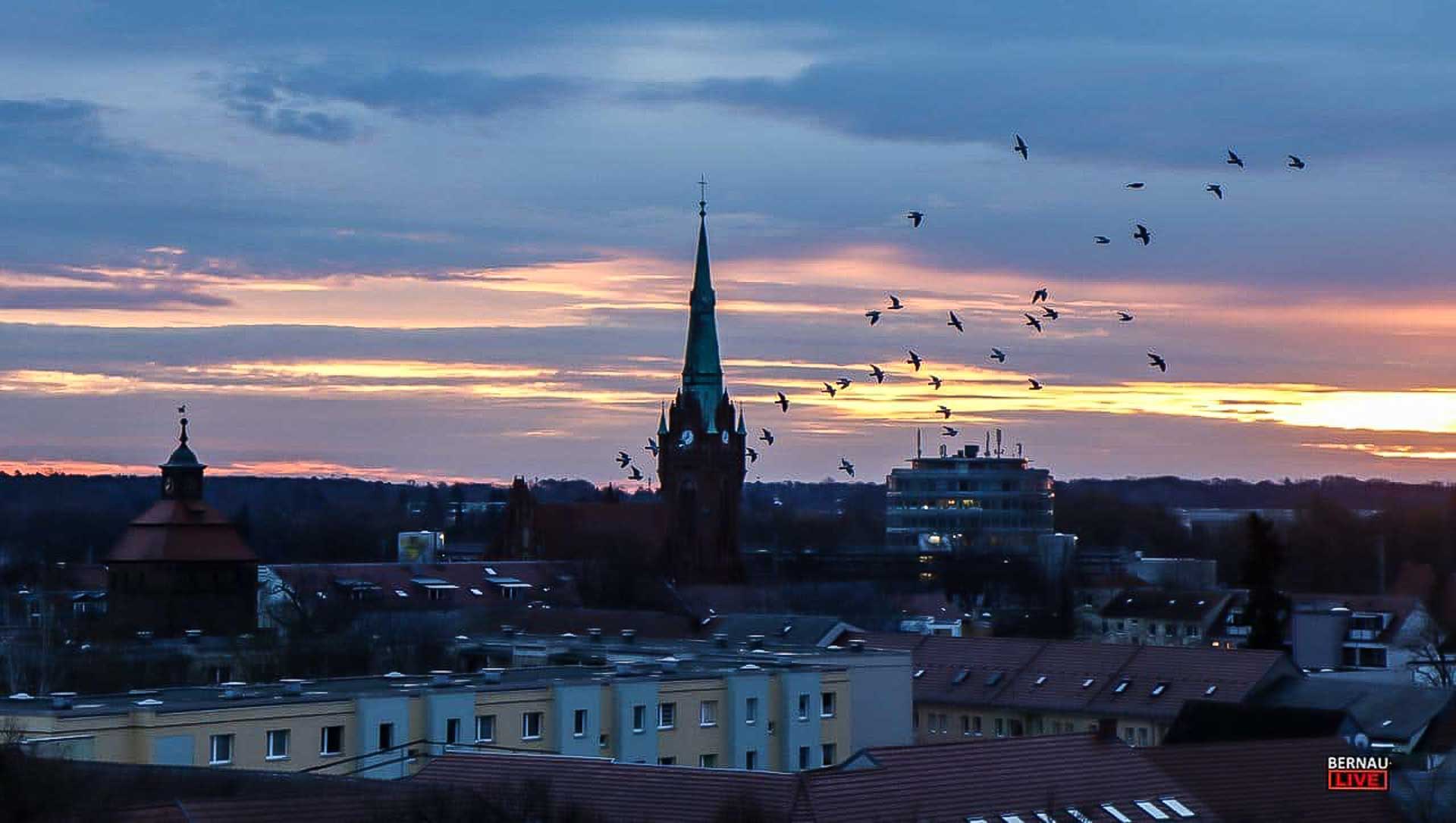 Willkommen in der Wochenmitte und guten Morgen aus Bernau 1 Willkommen in der Wochenmitte und guten Morgen aus Bernau