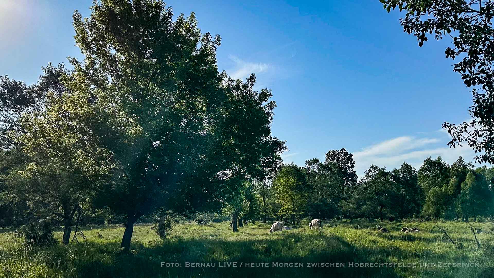 Allen einen schönen Freitag und guten Morgen aus Bernau 1 Allen einen schönen Freitag und guten Morgen aus Bernau