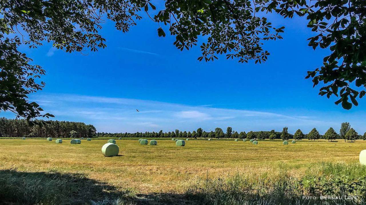 Bernau LIVE wünscht einen sommerlich-schönen Freitag 1 Bernau LIVE wünscht einen sommerlich-schönen Freitag