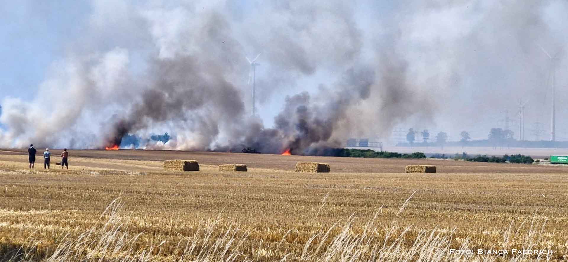 Bernau: Nachtrag zum gestrigen Flächenbrand nahe Birkholz / A11 1 Nachtrag zum gestrigen Flächenbrand nahe Birkholz / A11