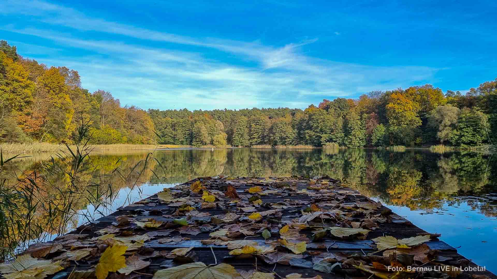Guten Morgen aus Bernau und einen sonnigen Freitag 1 Guten Morgen aus Bernau und einen sonnigen Freitag