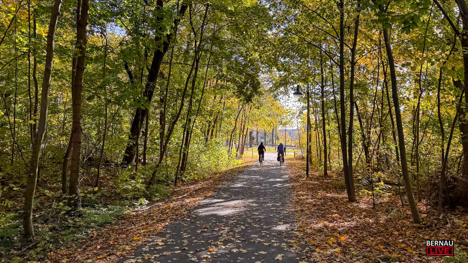 Herber Niederschlag für die Bernauer Bürgerinitiative ‚BernauerWaldRetten‘ 3 Bernau LIVE - Dein Stadtmagazin für Bernau bei Berlin