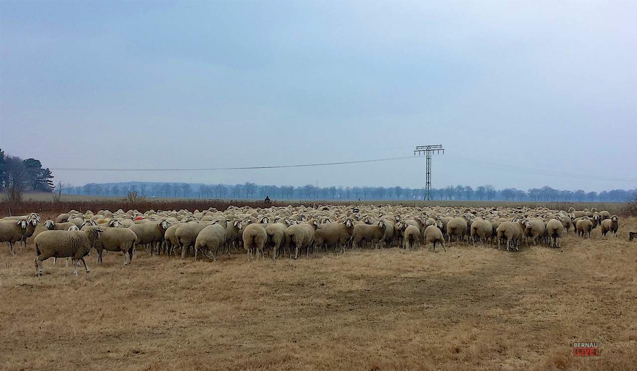 Guten Morgen aus Bernau und einen schönen Dienstag 1 Guten Morgen aus Bernau und einen schönen Dienstag
