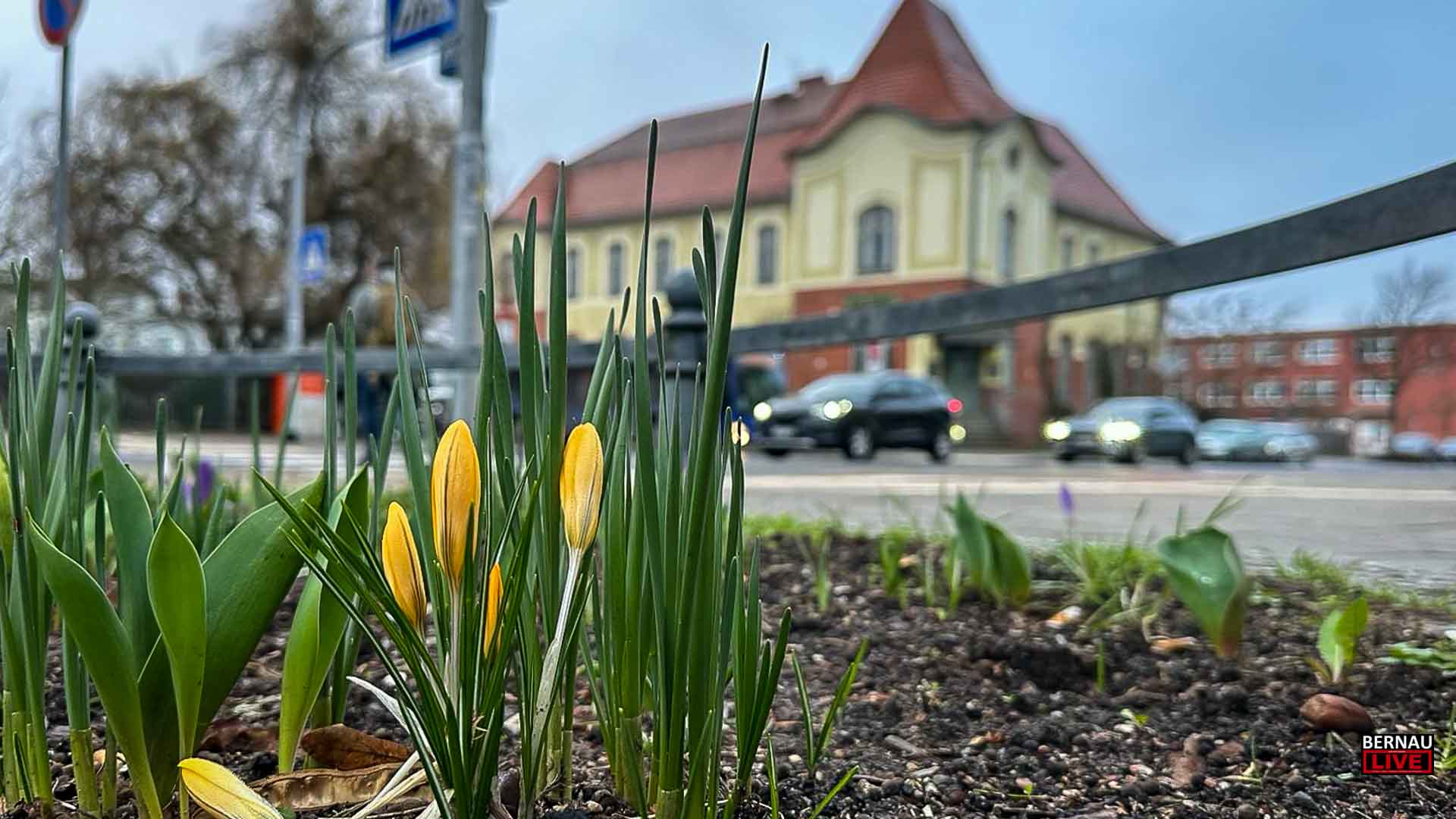 Auf in die neue Woche und guten Morgen aus Bernau 1 Auf in die neue Woche und guten Morgen aus Bernau