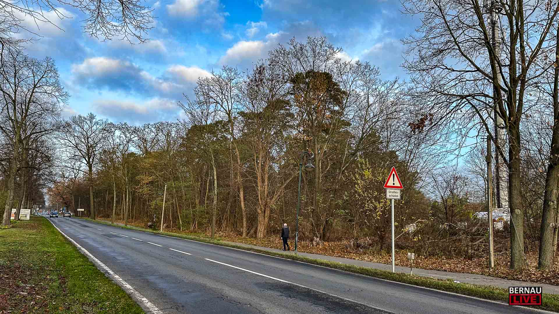 Herber Niederschlag für die Bernauer Bürgerinitiative ‚BernauerWaldRetten‘ 1 Heber Niederschlag für die Bernauer Bürgerinitiative ‚BernauerWaldRetten‘