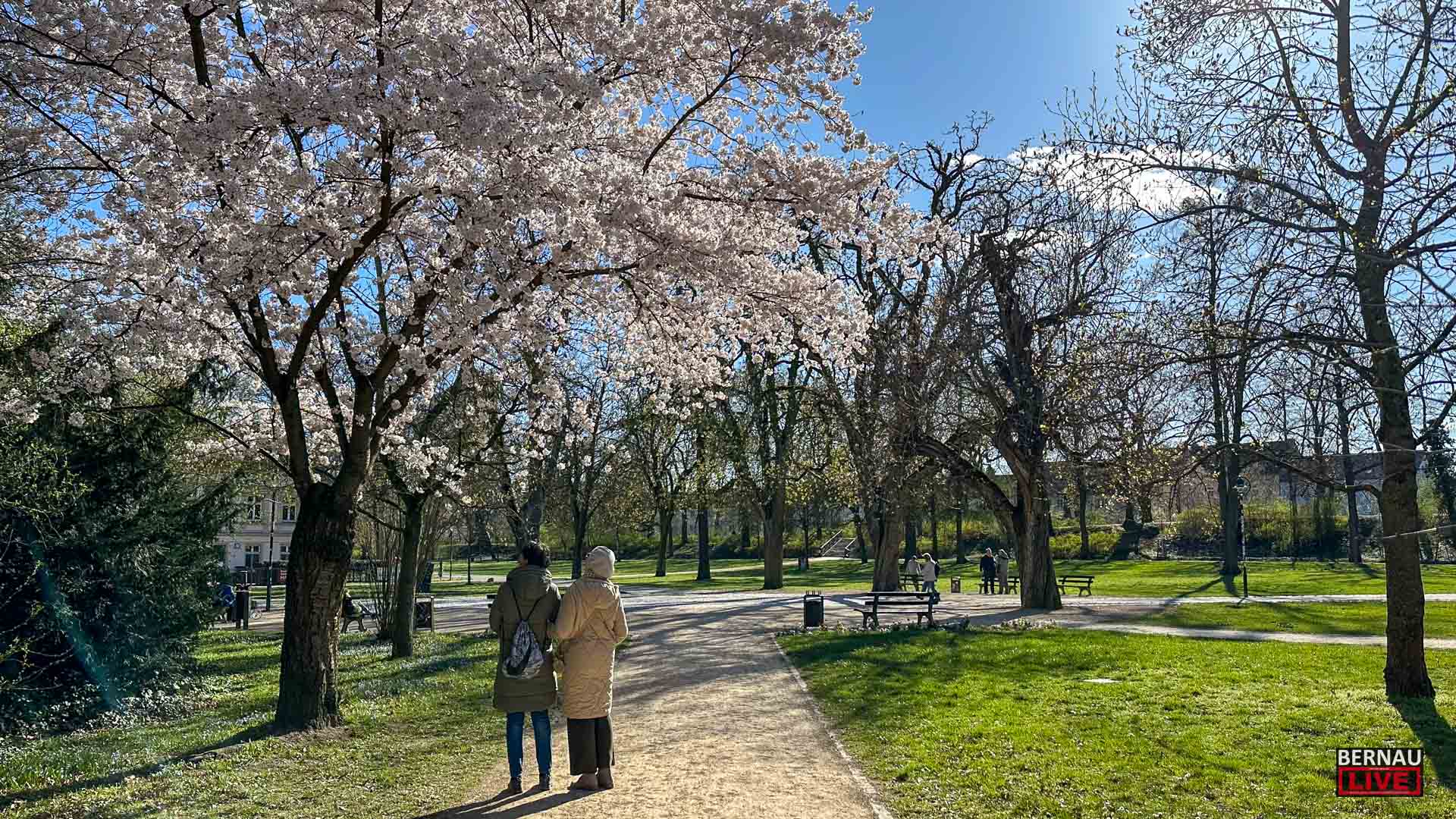 Veranstaltungen und Tipps für das Wochenende in Bernau und Barnim 17 Veranstaltungen und Tipps für das Wochenende in Bernau und Barnim