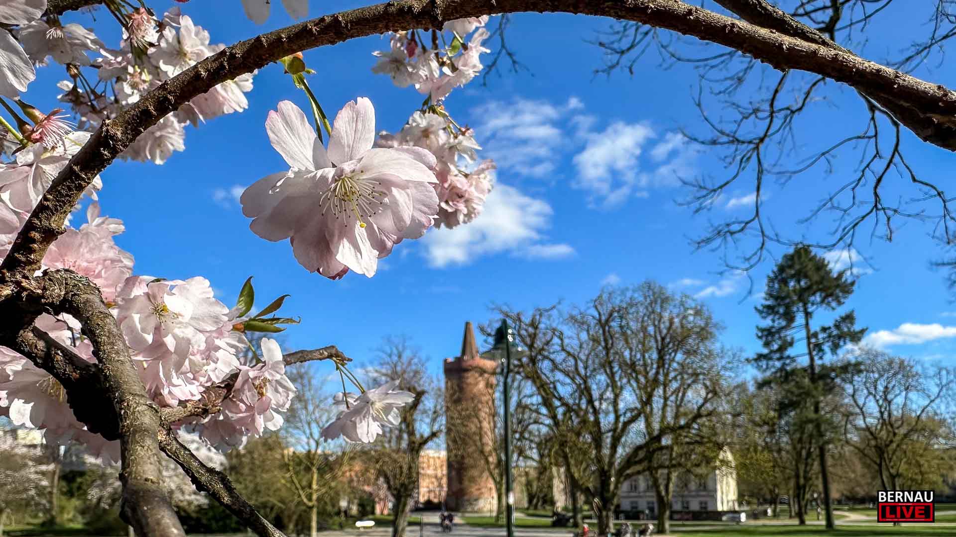 Bernau LIVE wünscht allen einen sonnigen Sonntag bei bis zu 22 Grad 10 Bernau LIVE wünscht allen einen sonnigen Sonntag bei bis zu 22 Grad