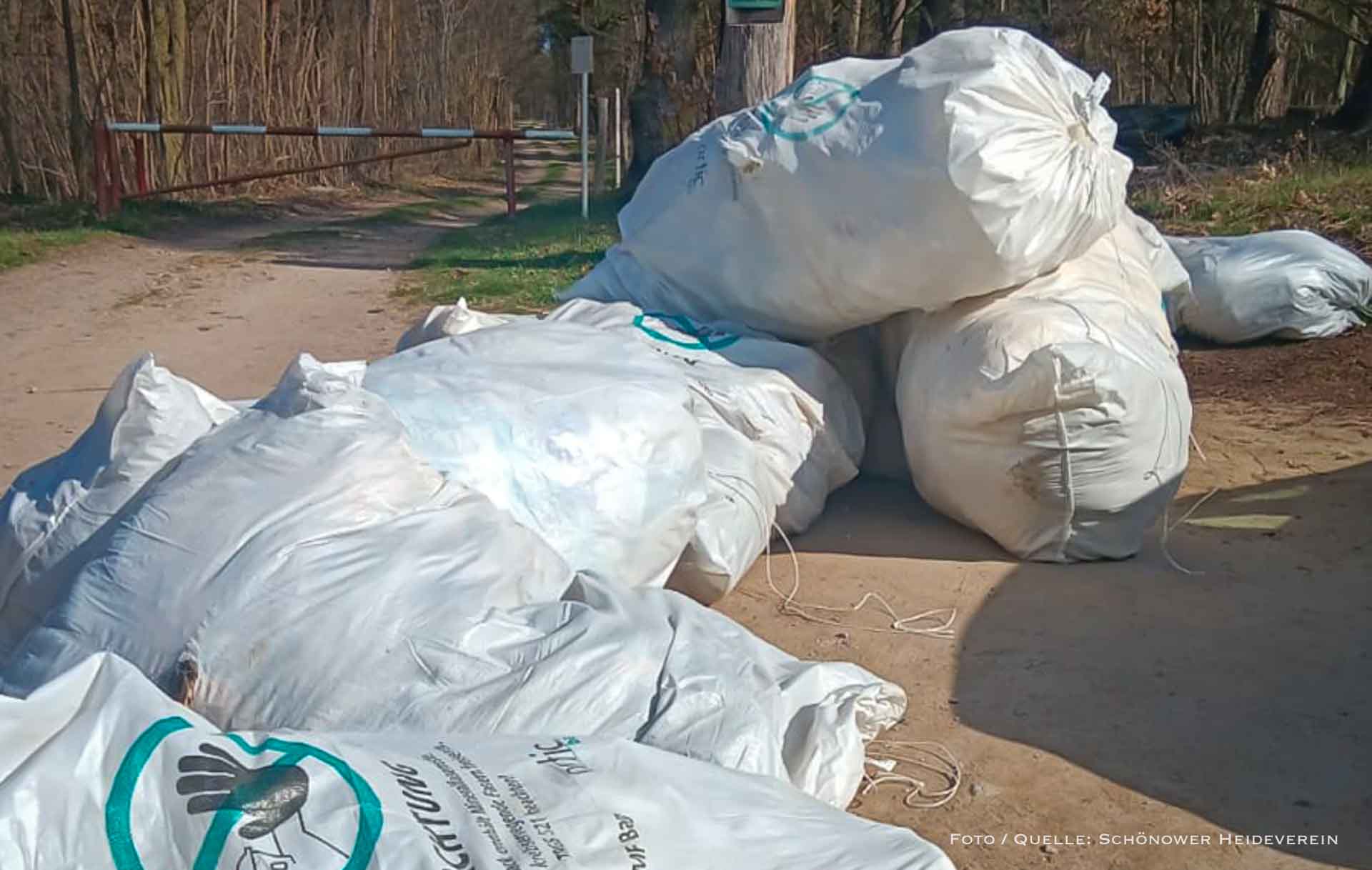 Bernau: Säckeweise Müll am Naturschutzgebiet Schönower Heide abgelegt 1 Bernau: Säckeweise Müll am Naturschutzgebiet Schönower Heide abgelegt