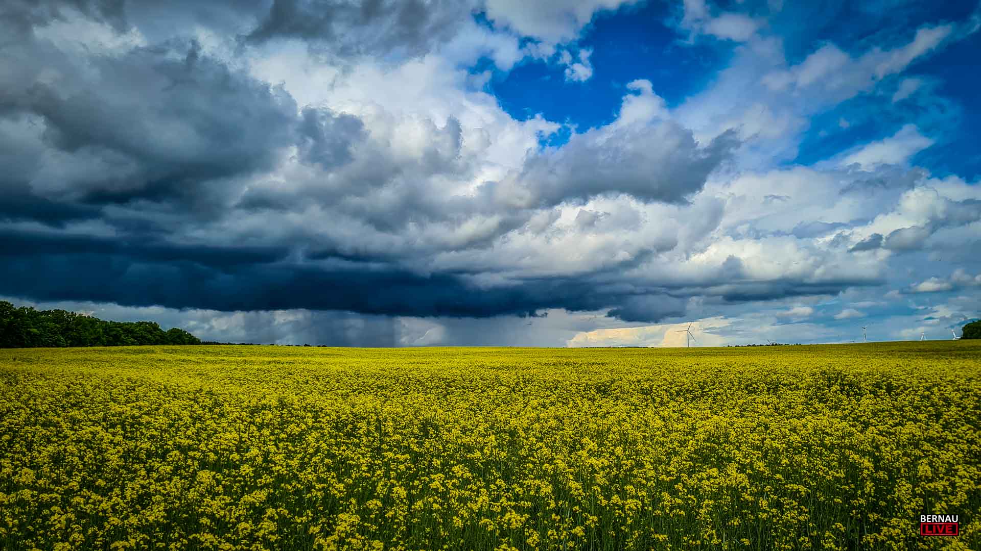 Allen einen schönen Freitag und guten Morgen aus Bernau 8 Allen einen schönen Freitag und guten Morgen aus Bernau