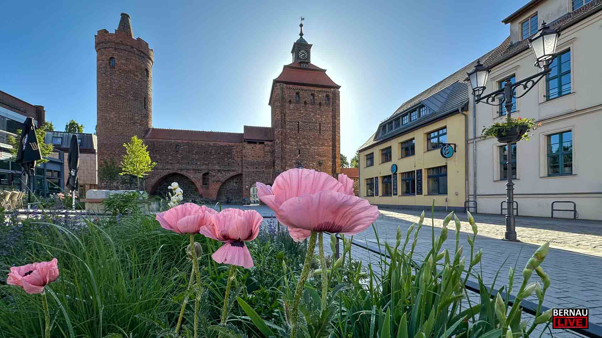 Guten Morgen aus Bernau und allen einen schönen Donnerstag 25 Guten Morgen aus Bernau und allen einen schönen Donnerstag
