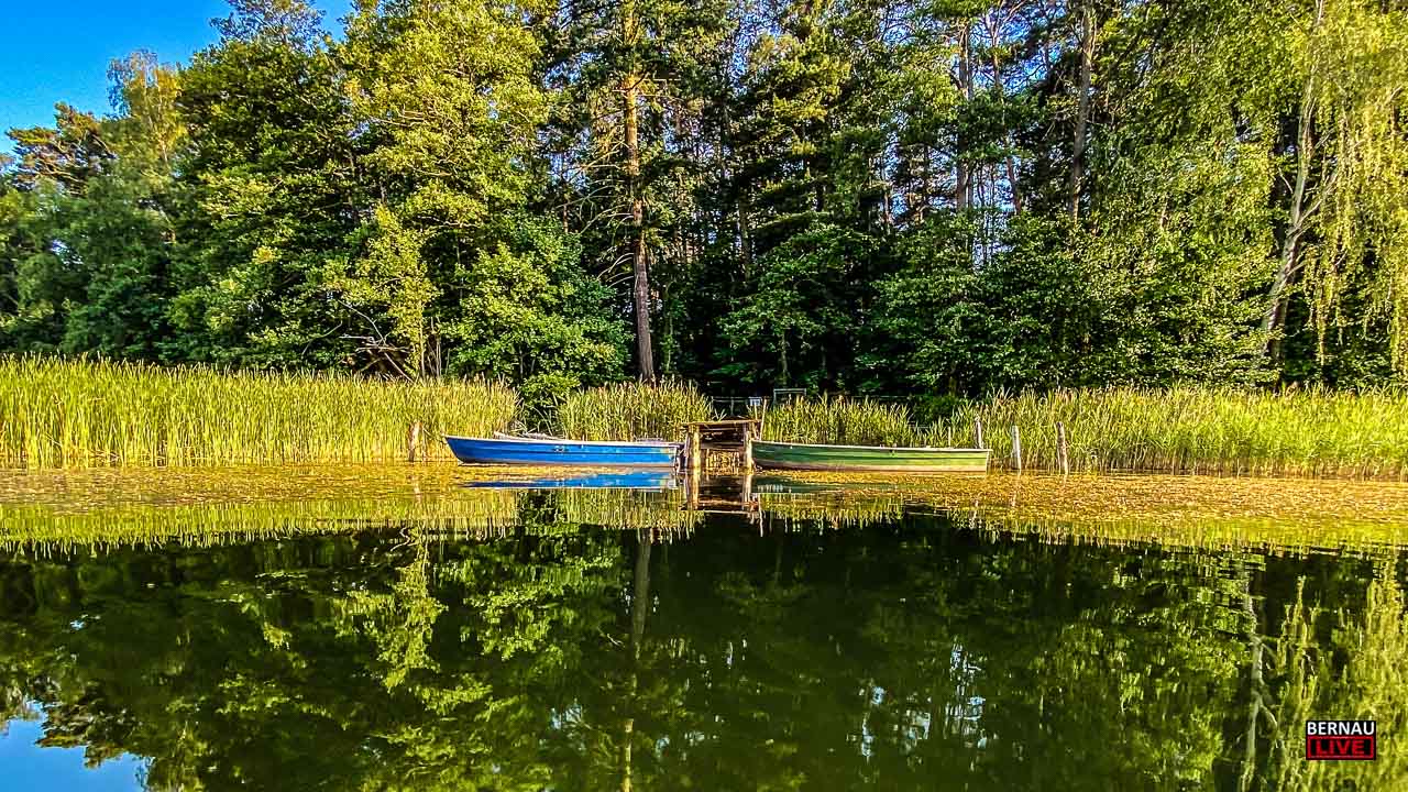 Bernau LIVE wünscht einen schönen Sonntag bei bis zu 33 Grad 19 Bernau LIVE wünscht einen schönen Sonntag bei bis zu 33 Grad