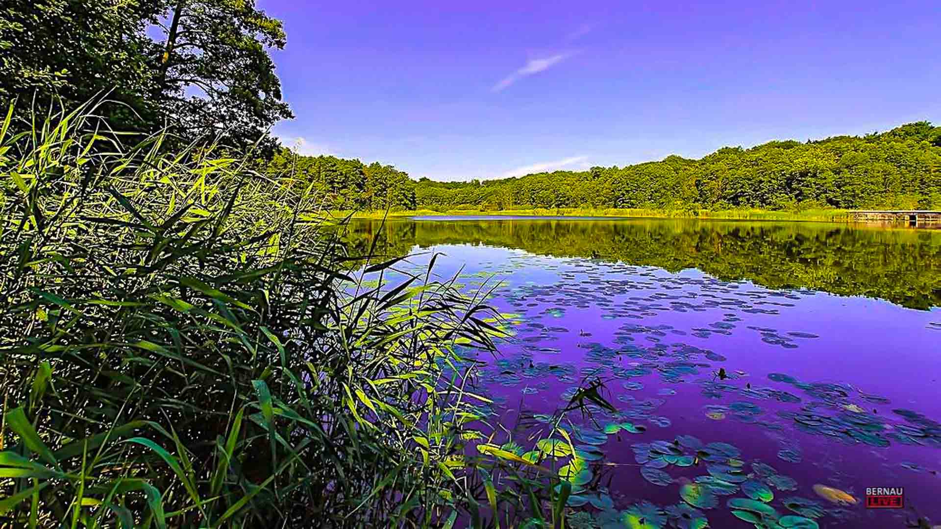 Veranstaltungen und Tipps für das Wochenende in Bernau und Barnim (21.06.-22.06.) 20 Veranstaltungen und Tipps für das Wochenende in Bernau und Barnim (21.06.-22.06.)