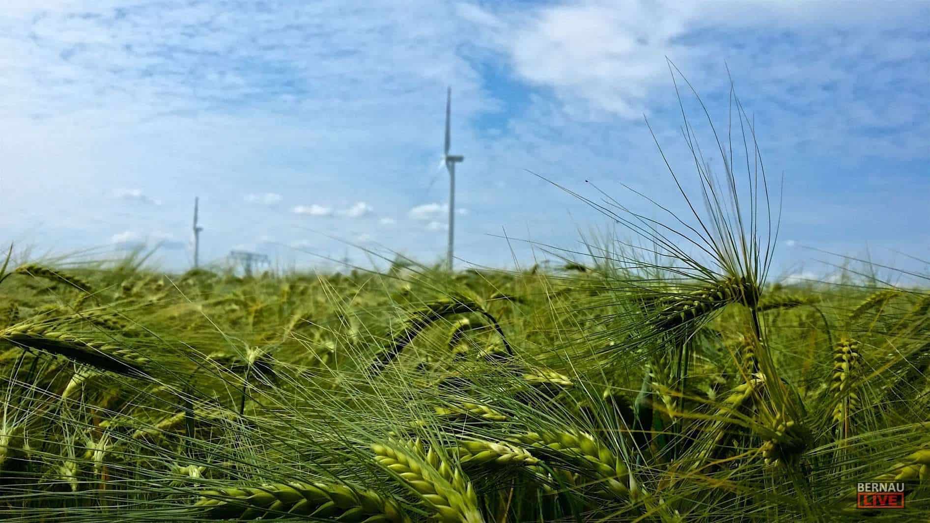 Guten Morgen aus Bernau und allen einen schönen Donnerstag 1 Guten Morgen aus Bernau und allen einen schönen Donnerstag