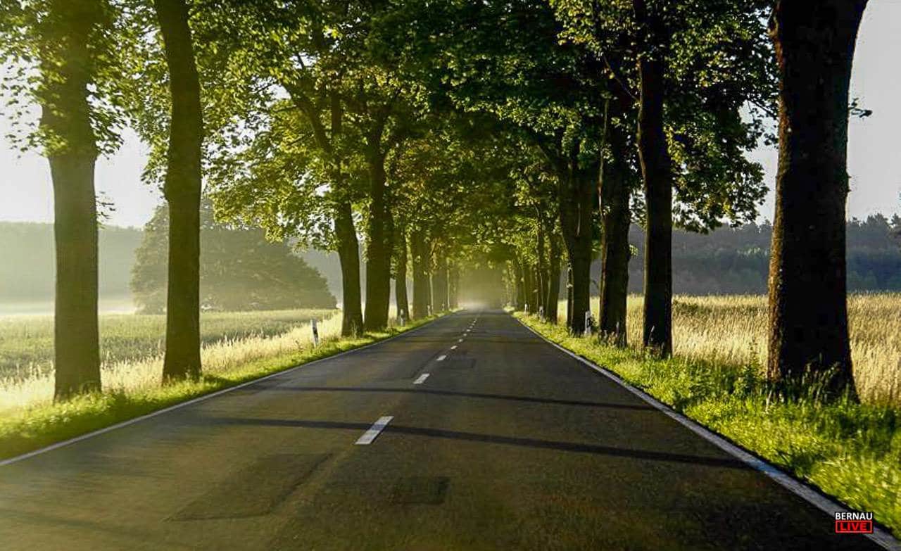 Guten Morgen aus Bernau und allen einen schönen Freitag 1 Guten Morgen aus Bernau und allen einen schönen Freitag