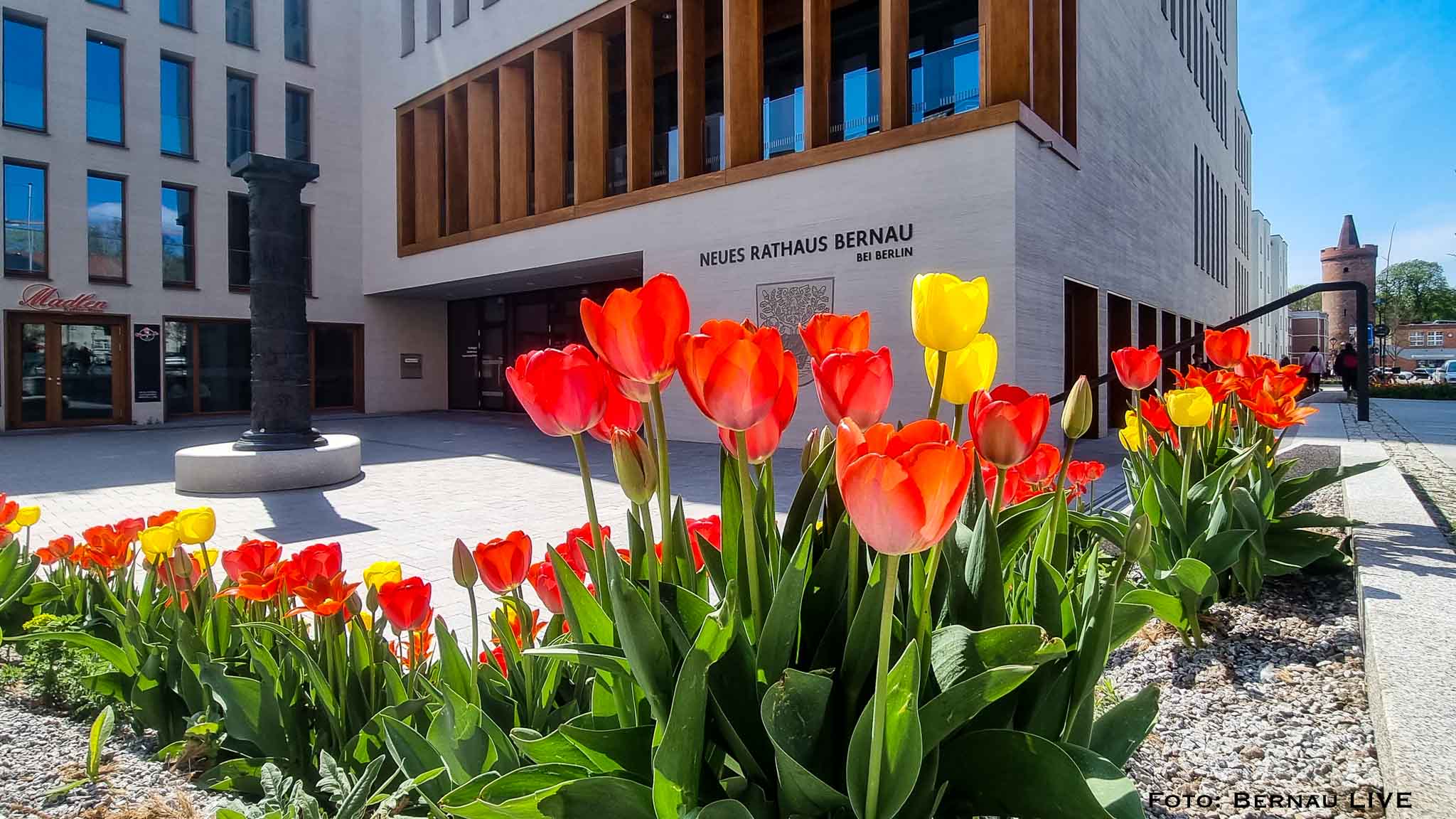 Stadtverwaltung Bernau: Erweiterung digitaler Serviceangebote