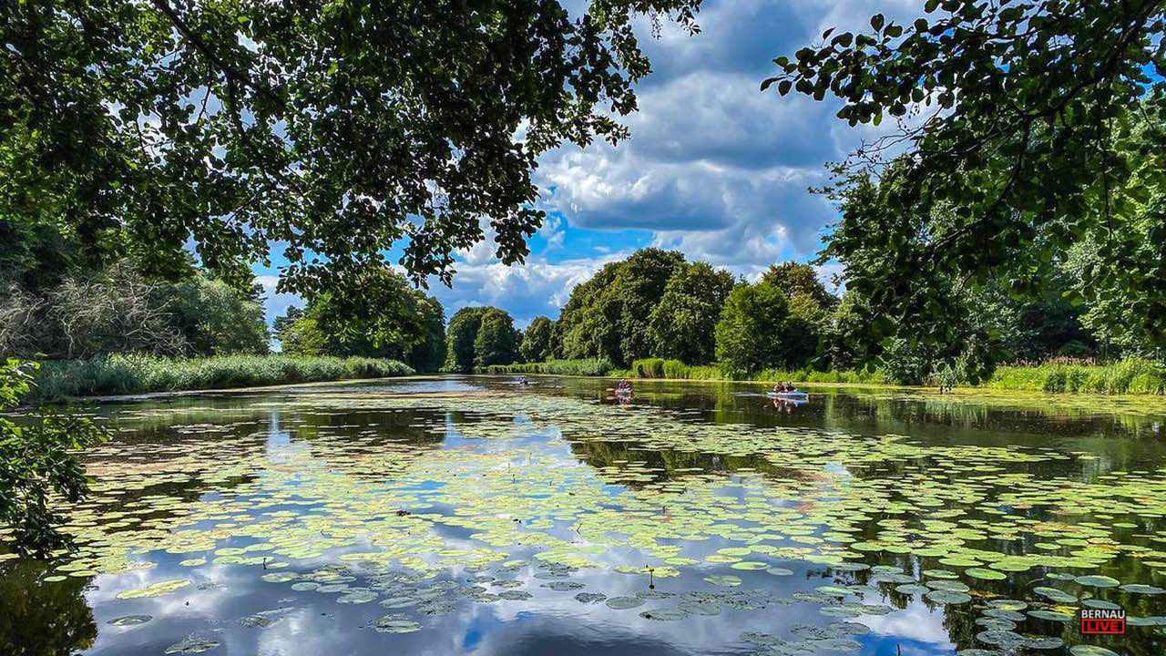 Veranstaltungen und Tipps für das Wochenende in Bernau und Barnim (26.07.-27.07.) 8 Bernau LIVE - Dein Stadtmagazin für Bernau bei Berlin