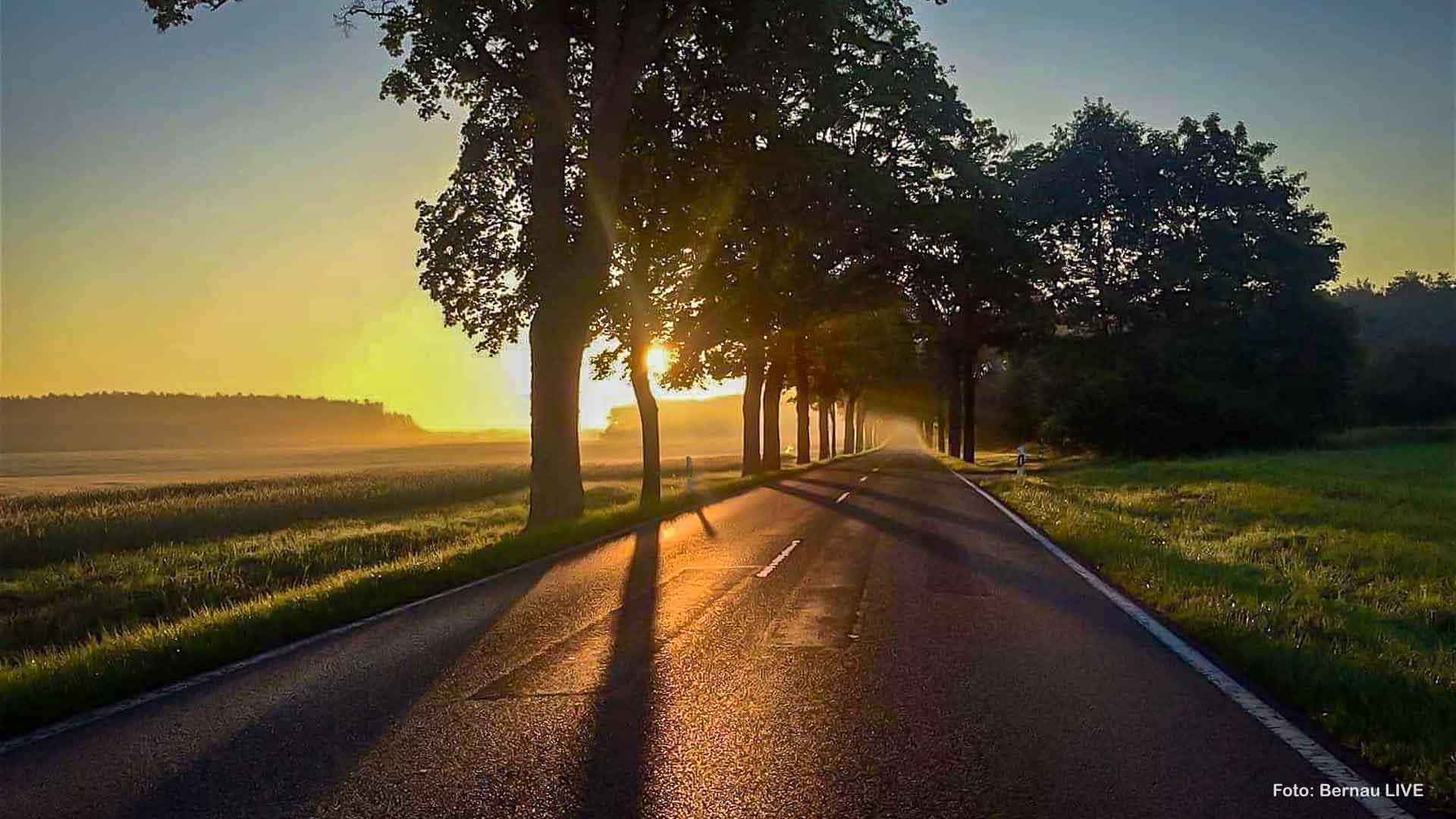 Bernau LIVE wünscht einen schönen Freitag, guten Morgen 1 Bernau LIVE wünscht einen schönen Freitag, guten Morgen