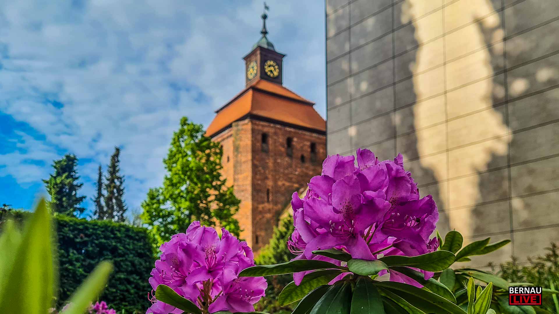 Guten Morgen aus Bernau und einen schönen Donnerstag 1 Guten Morgen aus Bernau und einen schönen Donnerstag