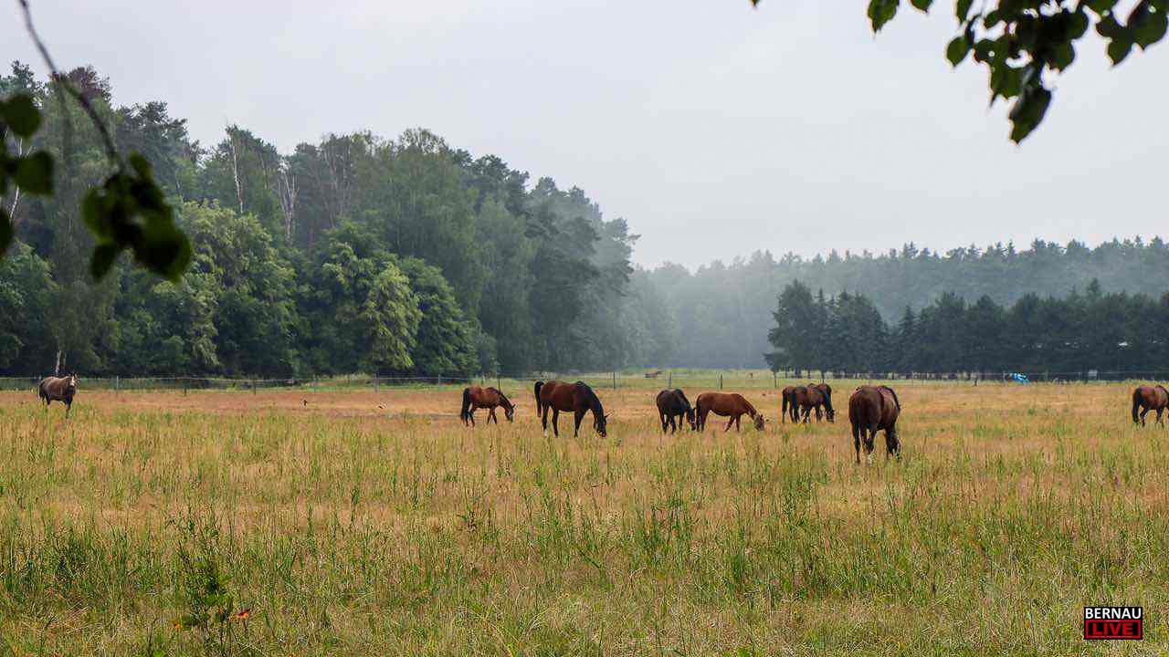 Willkommen in der neuen Woche und guten Morgen aus Bernau