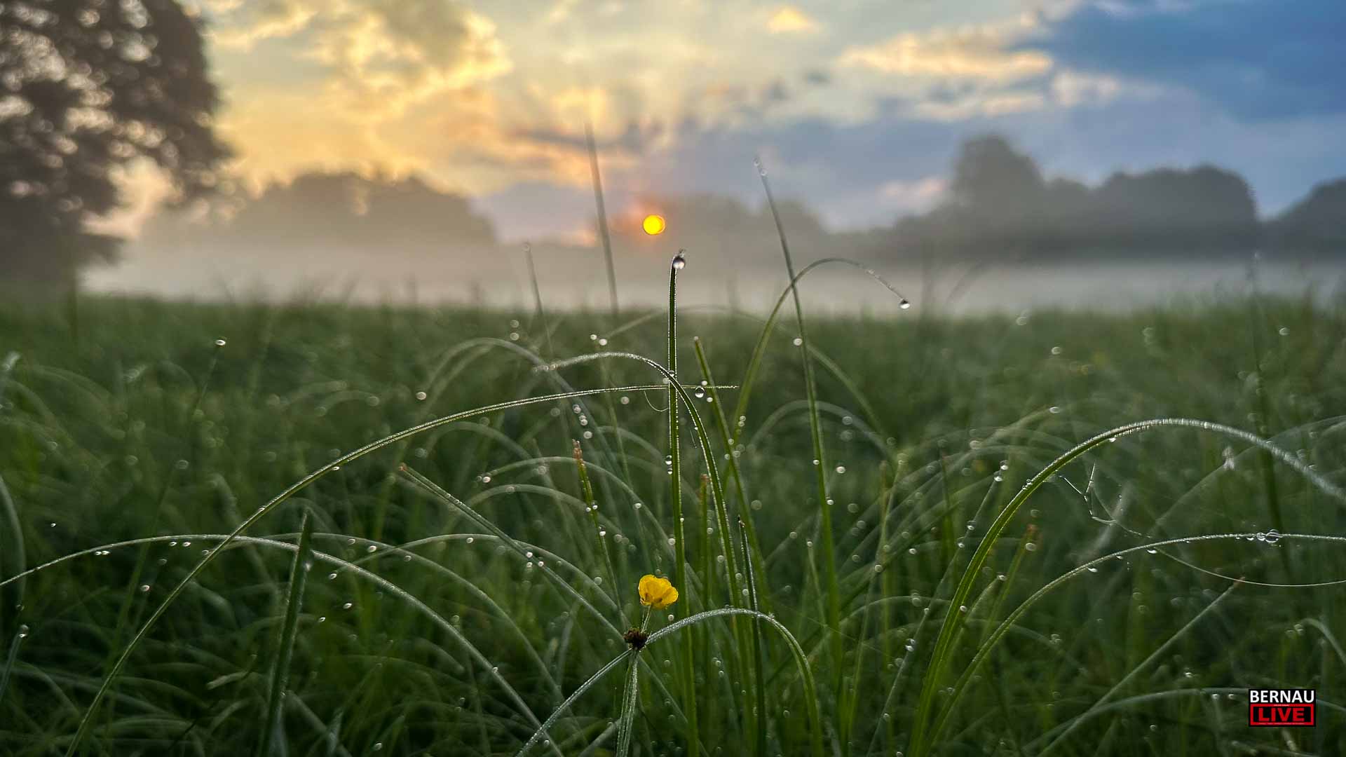 Guten Morgen aus Bernau und allen einen schönen Donnerstag 3 Bernau LIVE - Dein Stadtmagazin für Bernau bei Berlin