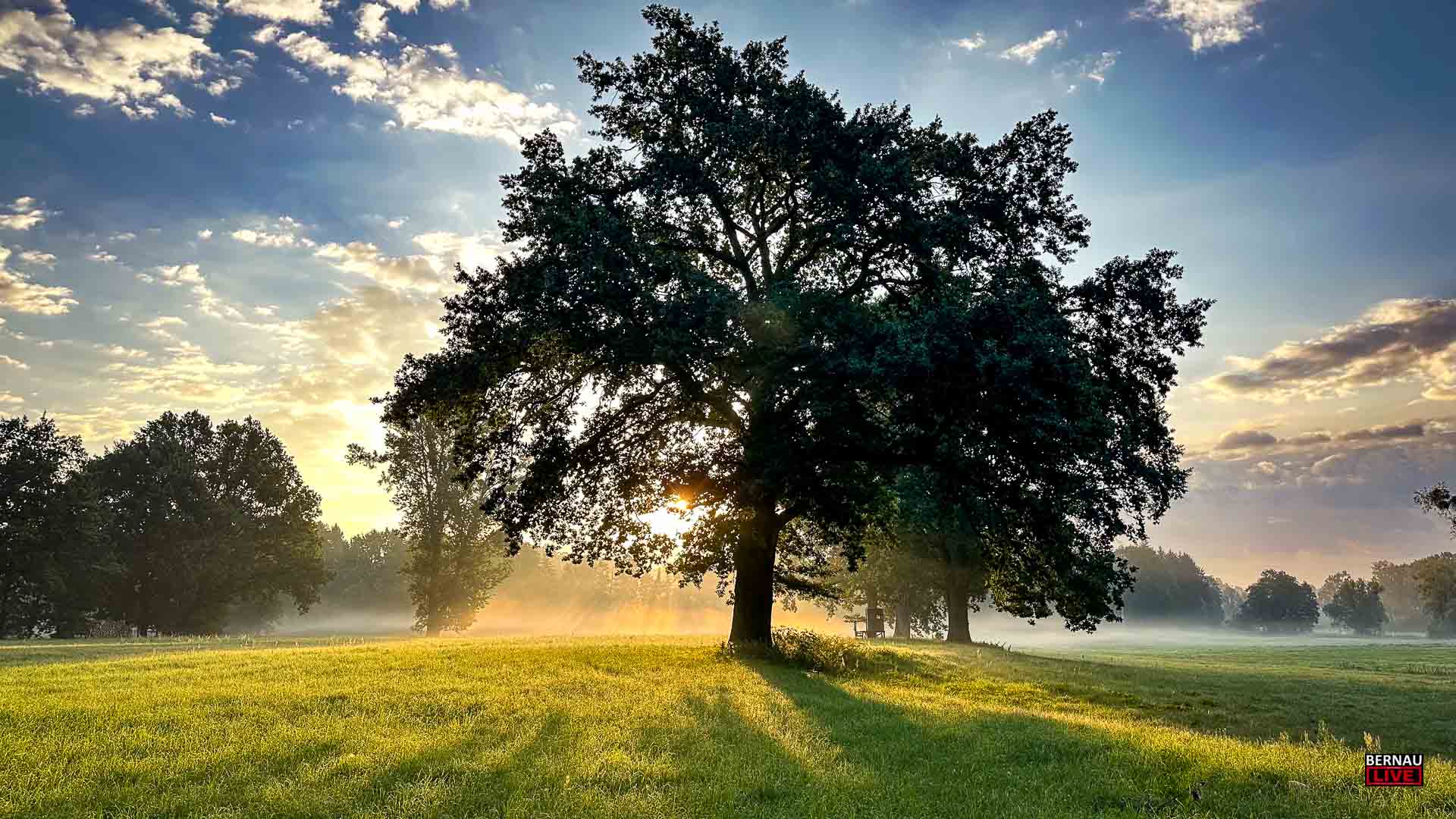 Guten Morgen aus Bernau und allen ein angenehmen Freitag 19 Guten Morgen aus Bernau und allen ein angenehmen Freitag