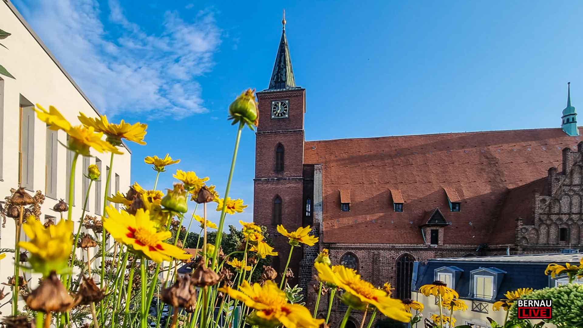 Willkommen in der Wochenmitte und guten Morgen aus Bernau 1 Willkommen in der Wochenmitte und guten Morgen aus Bernau