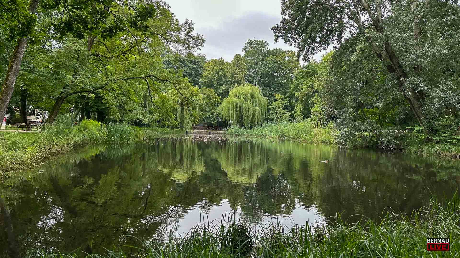 Guten Morgen aus Bernau und willkommen in der neuen Woche 4 Guten Morgen aus Bernau und willkommen in der neuen Woche