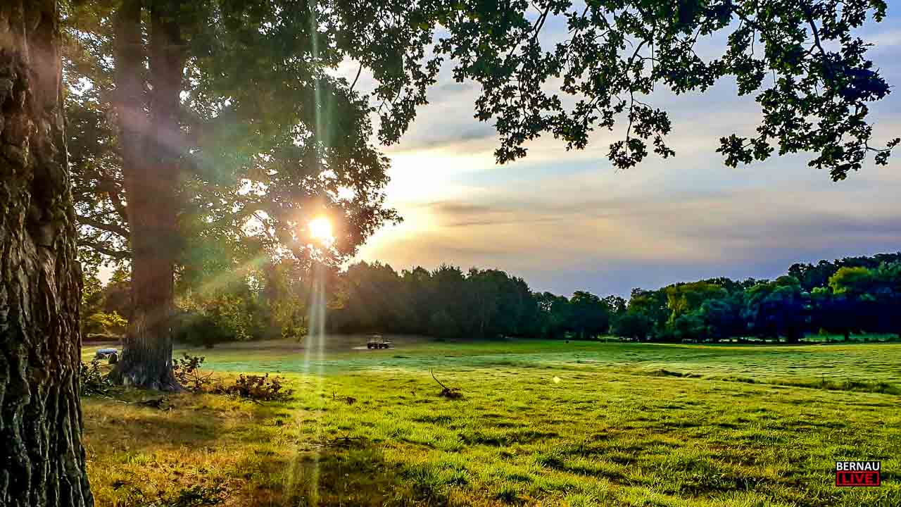 Einladung zur Wanderung rund ums Moor zwischen Lobetal und Hellsee 1 Einladung zur Wanderung rund ums Moor in Lobetal