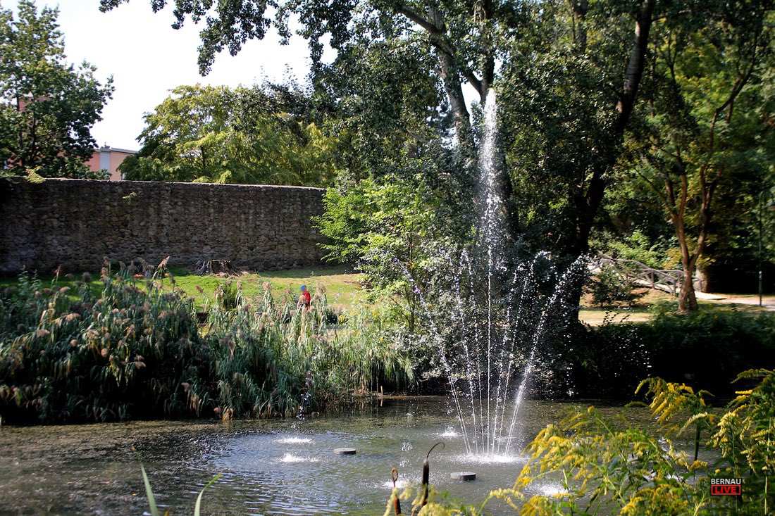 Regenwasser sorgt für gut gefüllte Teiche und Wasservorräte in Bernau 1 Bernau LIVE - Dein Stadtmagazin für Bernau bei Berlin