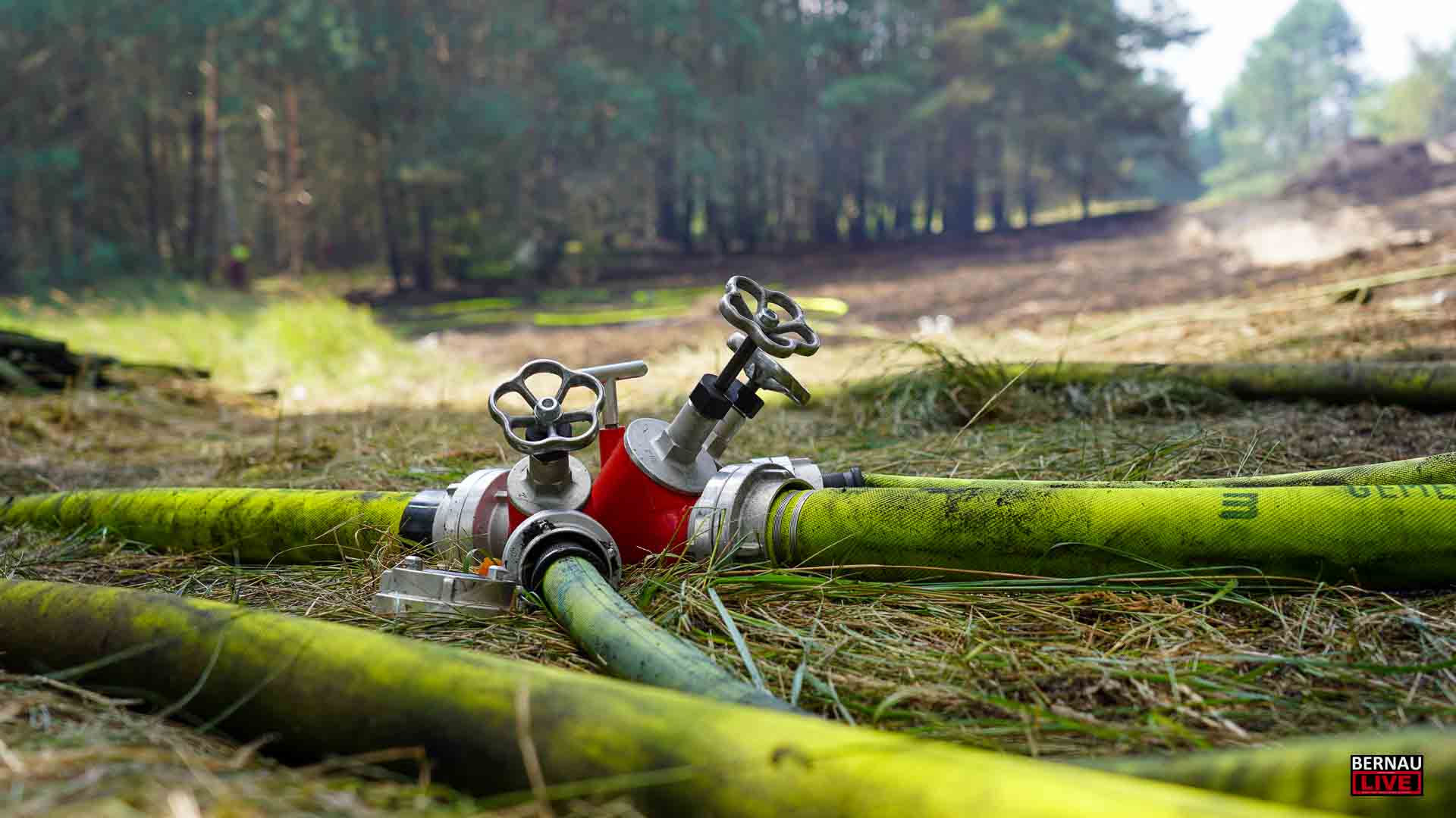 Waldbrand in Bernau leider wieder erneut entfacht 1 Waldbrand in Bernau leider wieder erneut entfacht