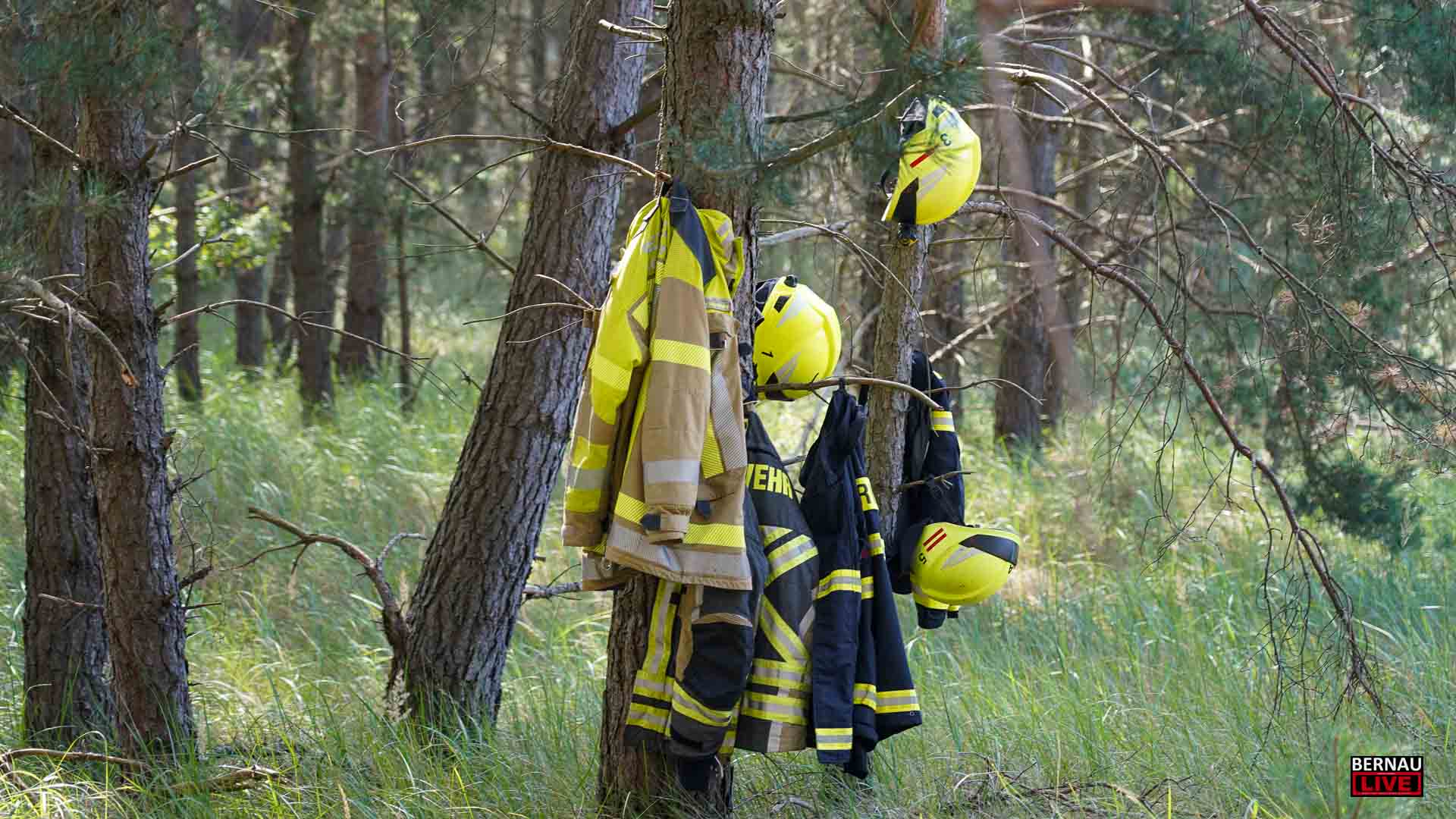 DANK an alle Einsatzkräfte: Der Waldbrand in Bernau ist gelöscht! 1 DANK an alle Einsatzkräfte: Der Waldbrand in Bernau ist gelöscht!