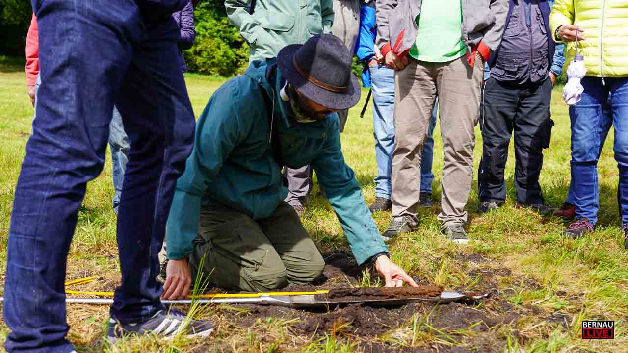Unterwegs in den Mooren rund um Bernau, Lobetal und Biesenthal 4 Bernau LIVE - Dein Stadtmagazin für Bernau bei Berlin