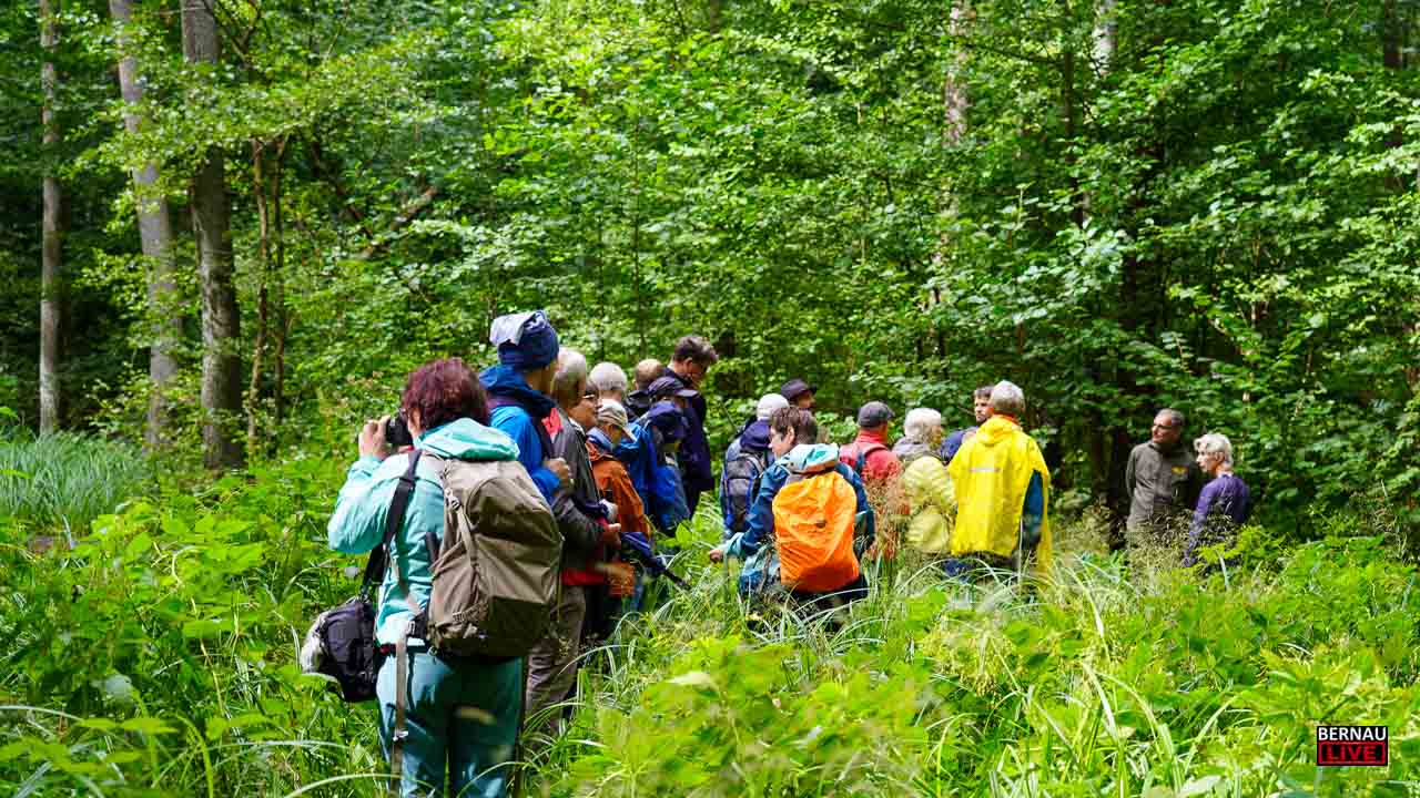 Unterwegs in den Mooren rund um Bernau, Lobetal und Biesenthal 1 Unterwegs in den Mooren rund um Bernau, Lobetal und Biesenthal