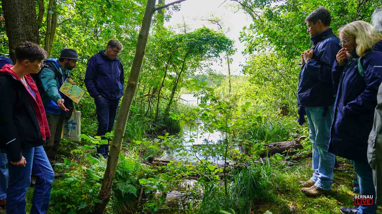 Unterwegs in den Mooren rund um Bernau, Lobetal und Biesenthal 10 Bernau LIVE - Dein Stadtmagazin für Bernau bei Berlin