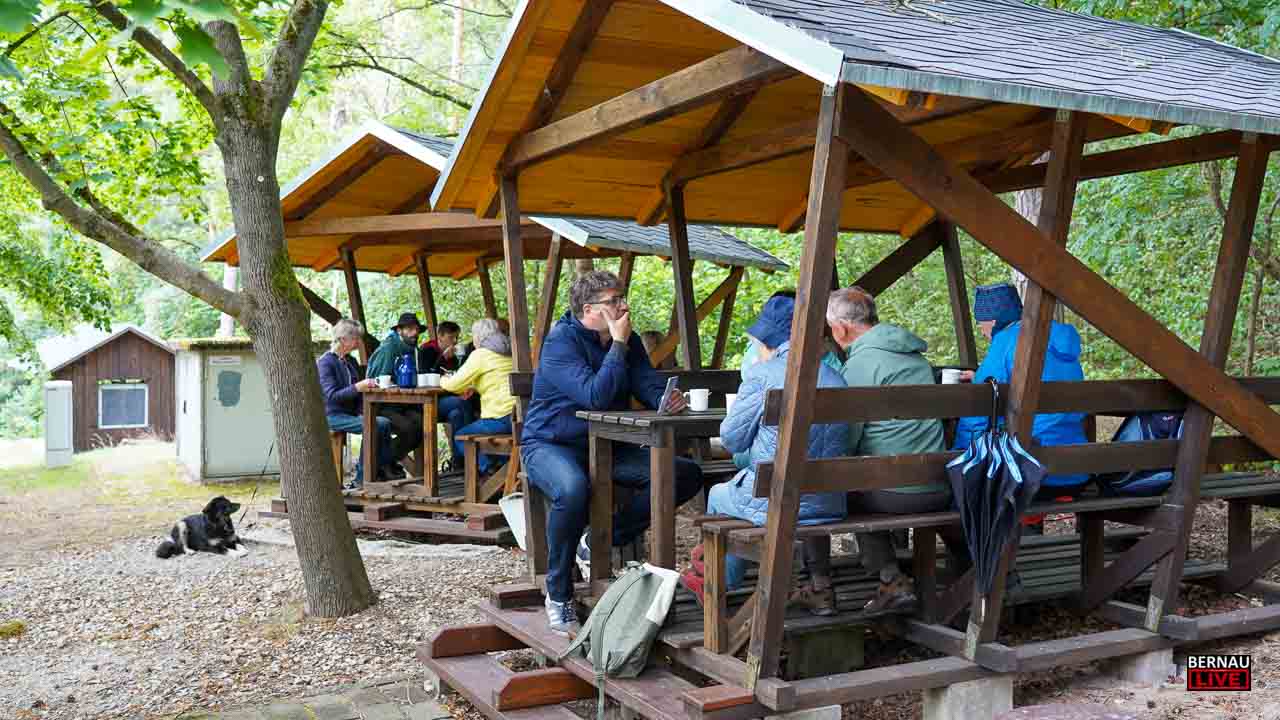 Unterwegs in den Mooren rund um Bernau, Lobetal und Biesenthal 11 Bernau LIVE - Dein Stadtmagazin für Bernau bei Berlin