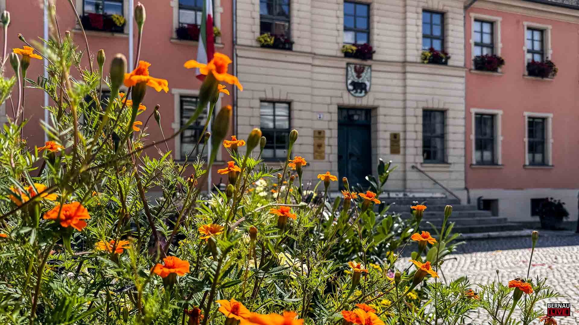 Allen eine gute Wochenmitte und guten Morgen aus Bernau 5 Allen eine gute Wochenmitte und guten Morgen aus Bernau