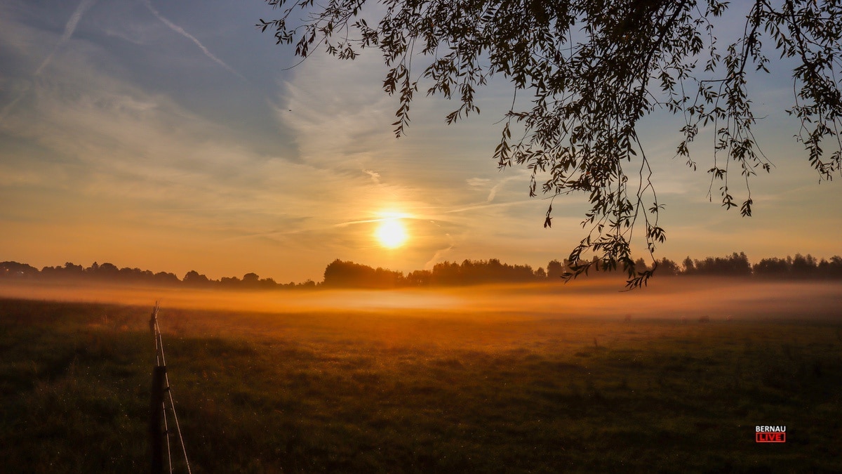 Guten Morgen aus Bernau und einen schönen Donnerstag 1 Guten Morgen aus Bernau und einen schönen Donnerstag