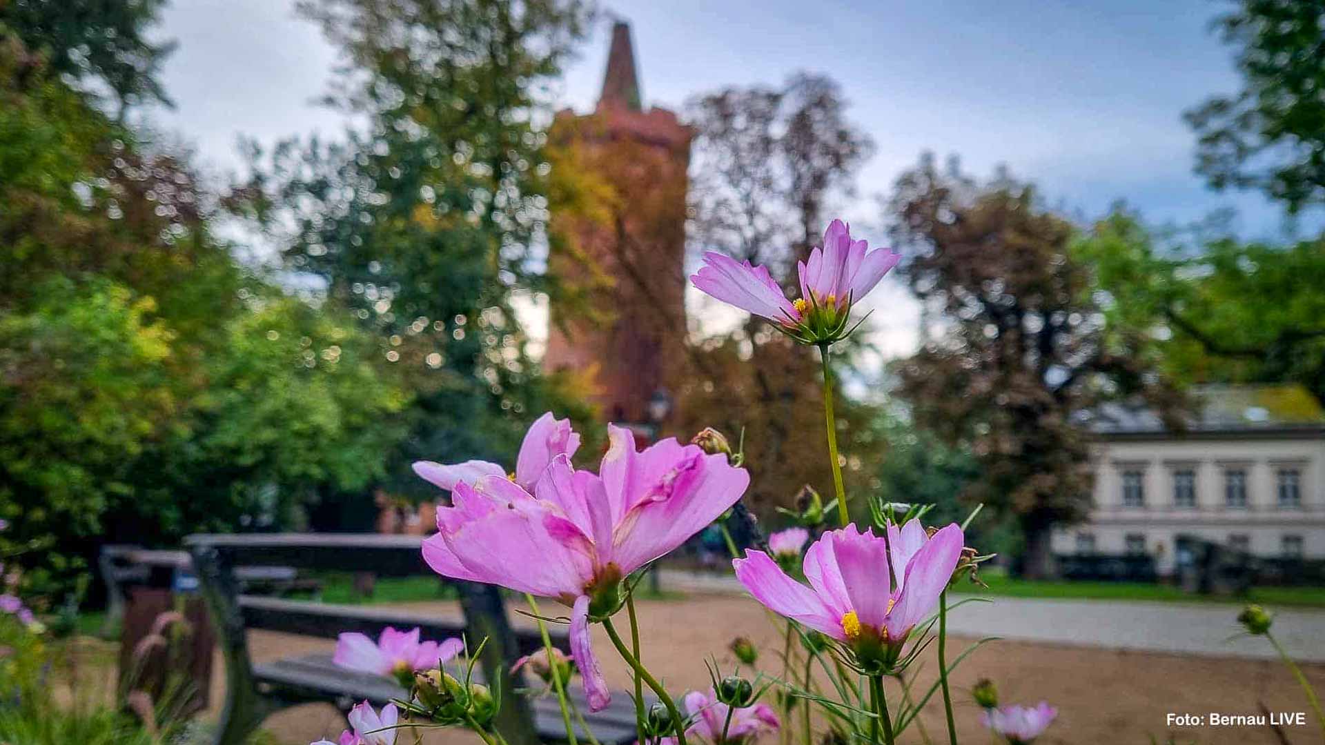 Guten Morgen aus Bernau und allen einen schönen Donnerstag