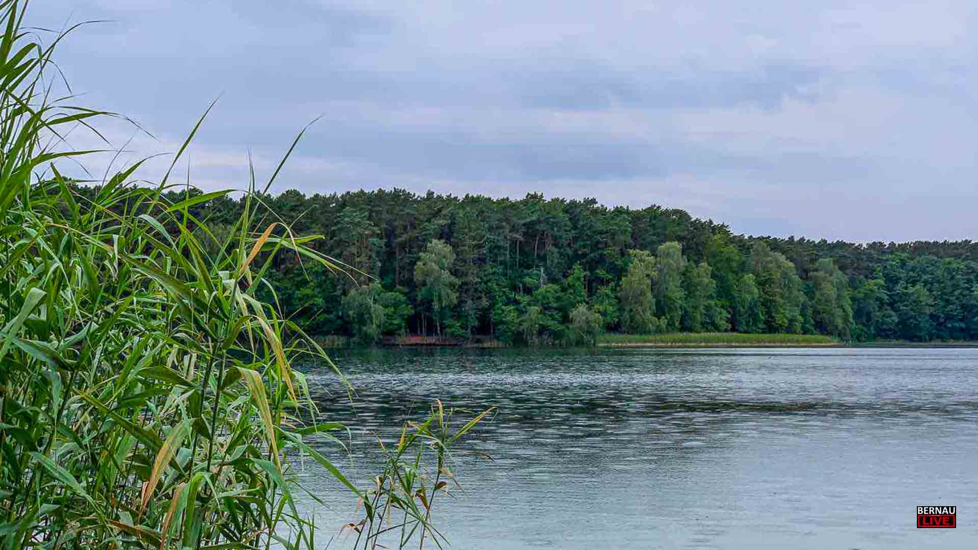 Guten Morgen aus Bernau und einen schönen Dienstag