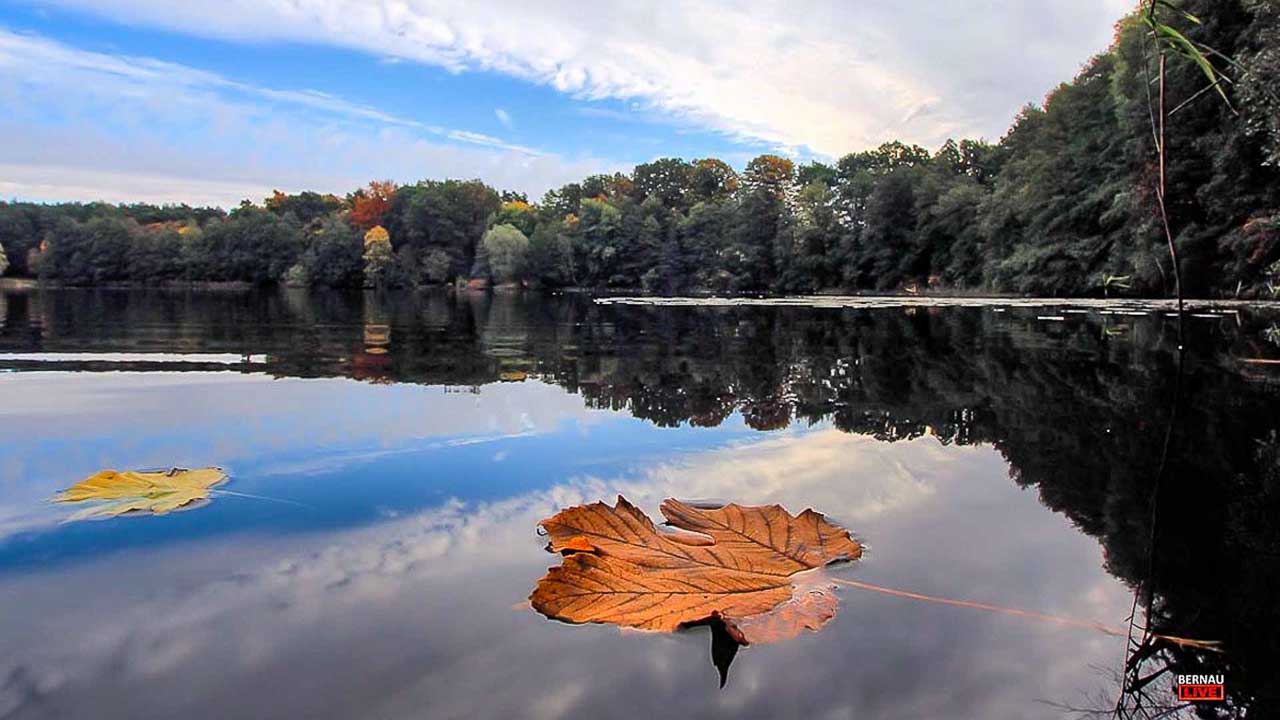 Veranstaltungen und Tipps für das Wochenende in Bernau und Barnim (06.-07.09.) 15 Veranstaltungen und Tipps für das Wochenende in Bernau und Barnim (06.-07.09.)