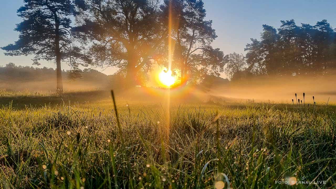 Guten Morgen aus Bernau und einen schönen Donnerstag