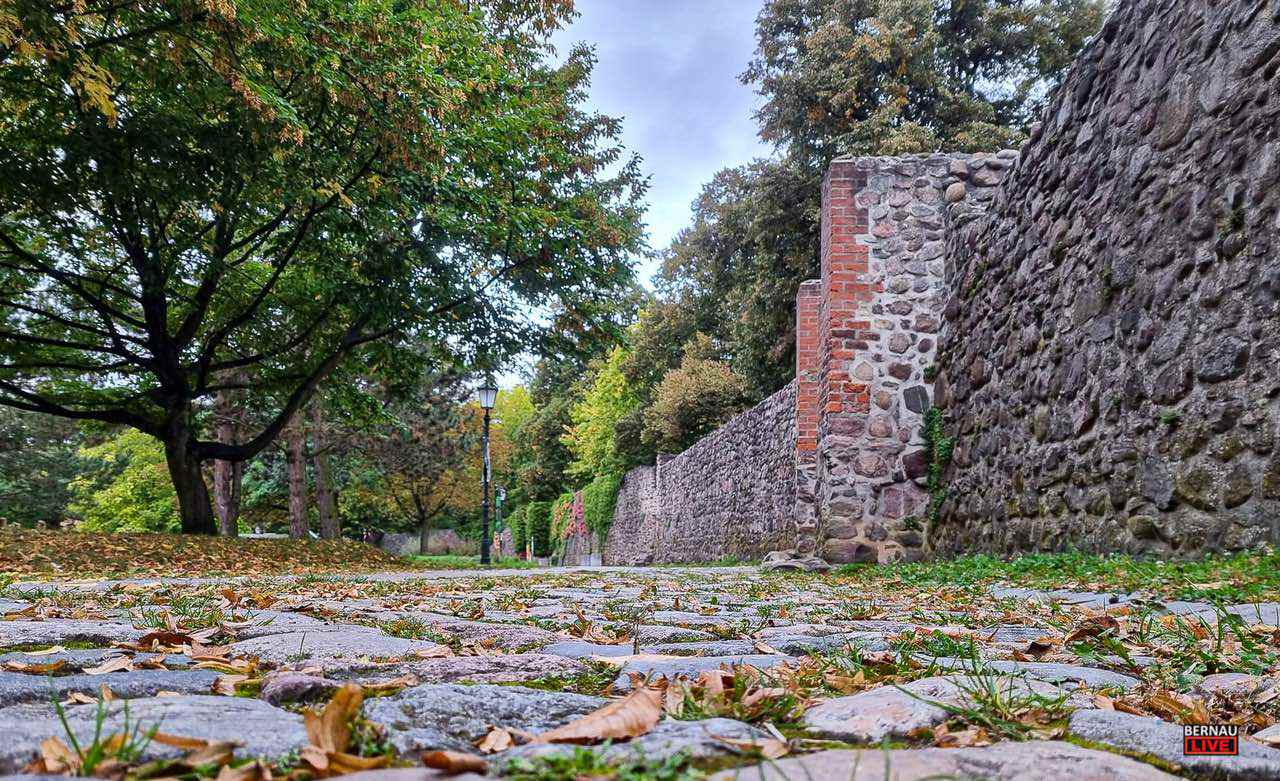 Guten Morgen aus Bernau und einen schönen Dienstag 14 Guten Morgen aus Bernau und einen schönen Dienstag