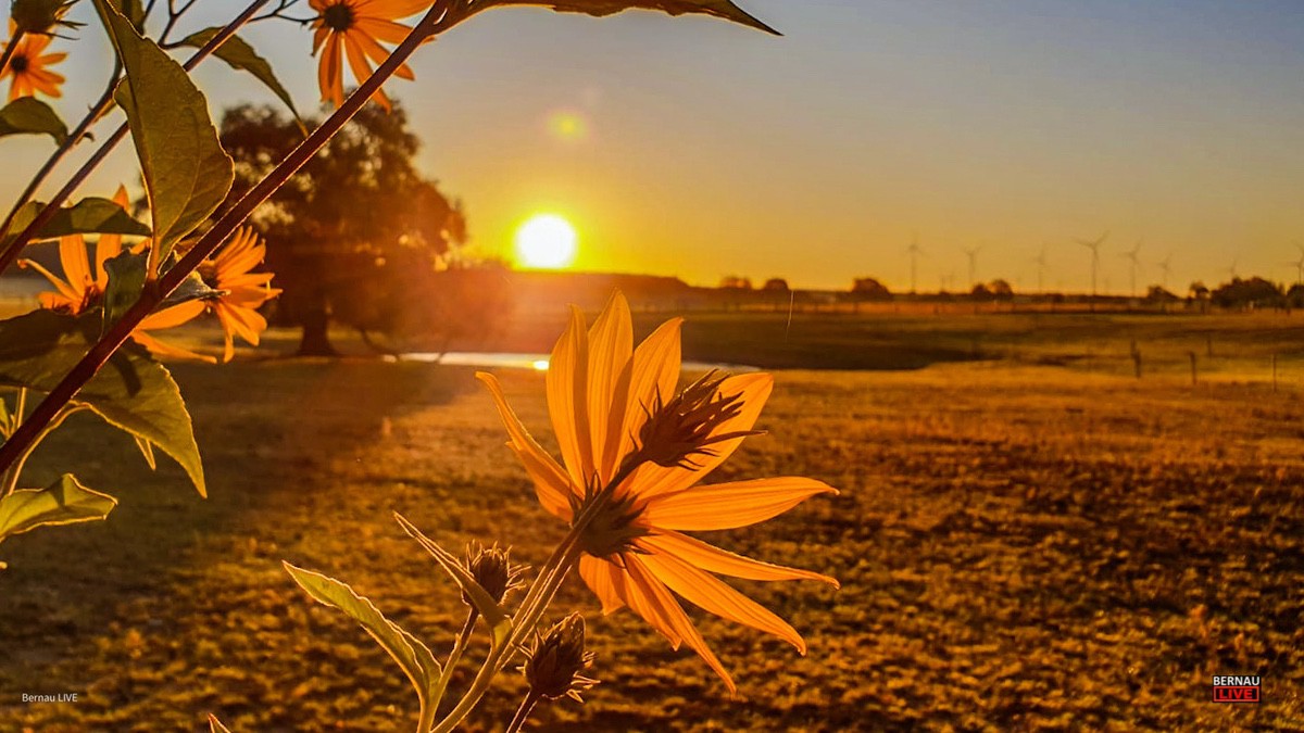 Guten Morgen aus Bernau und willkommen in einer neuen Woche 6 Bernau LIVE - Dein Stadtmagazin für Bernau bei Berlin