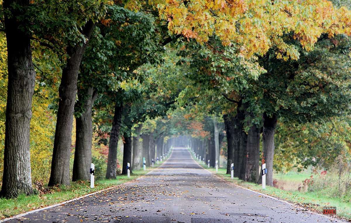 Guten Morgen aus Bernau und einen schönen Dienstag 1 Guten Morgen aus Bernau und einen schönen Dienstag