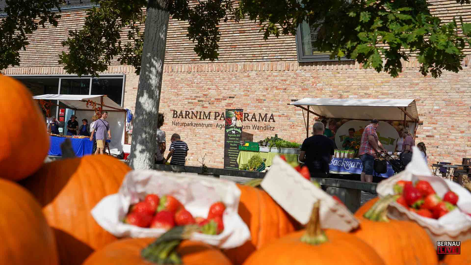 Gut besucht: Erntefest rund um das Barnim Panorama in Wandlitz 1 Gut besucht: Erntefest rund um das Barnim Panorama in Wandlitz