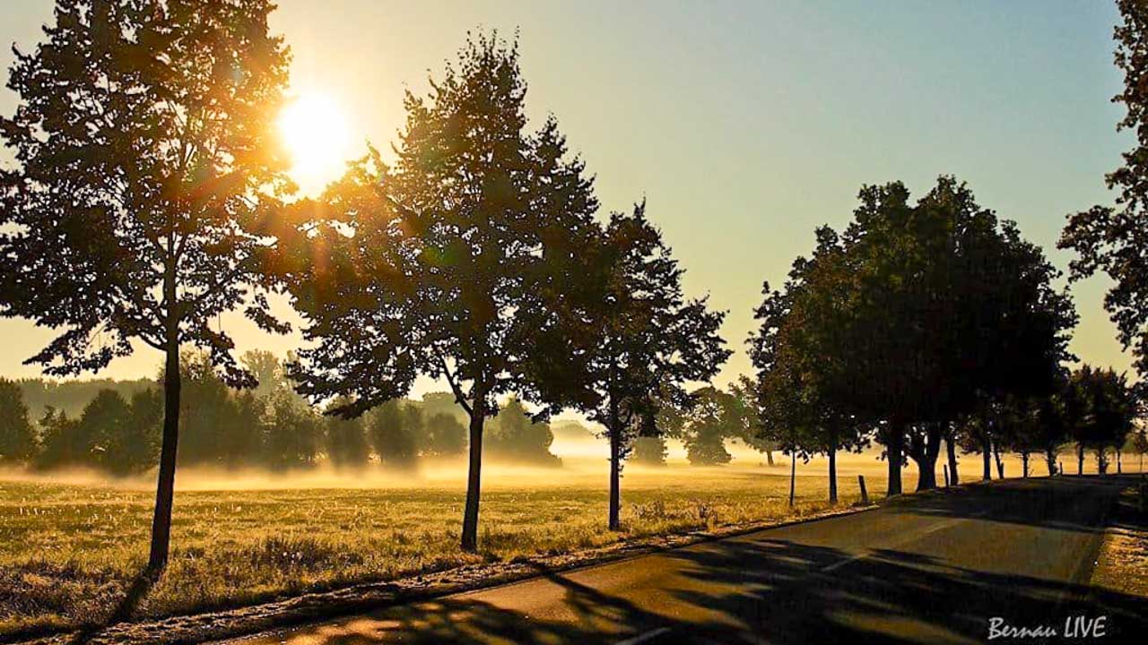 Guten Morgen aus Bernau und einen schönen Schulstart 9 Guten Morgen aus Bernau und einen schönen Schulstart