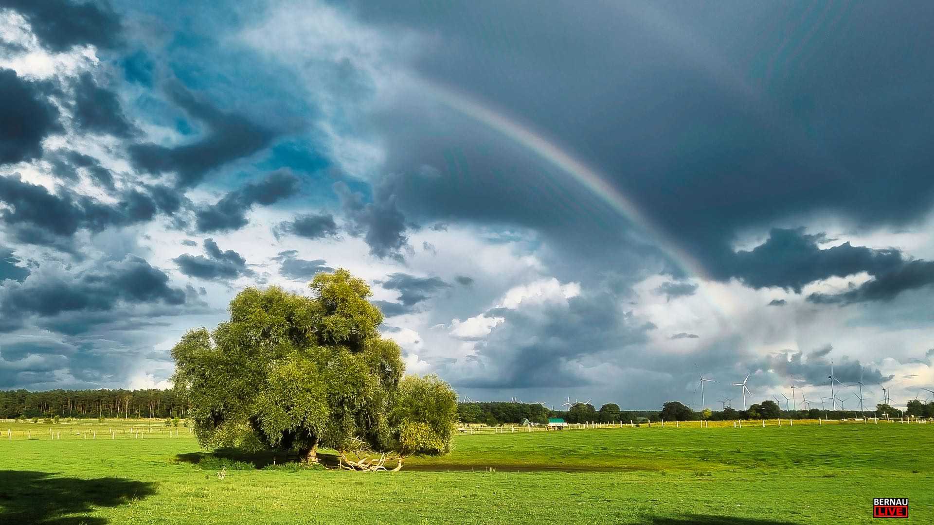 Aktionstag gegen Glücksspielsucht - Info und Beratung am 24.09. in Bernau