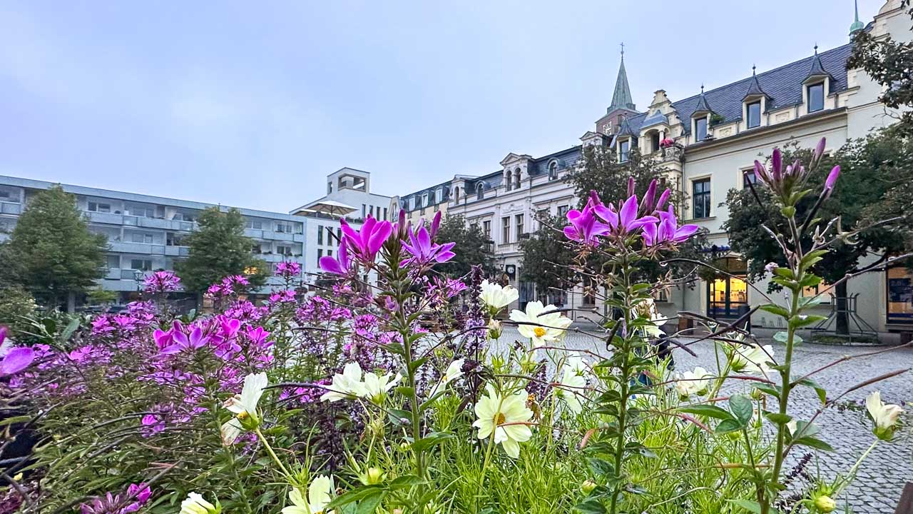 Guten Morgen aus Bernau und allen einen angenehmen Freitag 29 Guten Morgen aus Bernau und allen einen angenehmen Freitag
